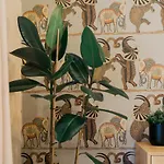 דירה Elephant